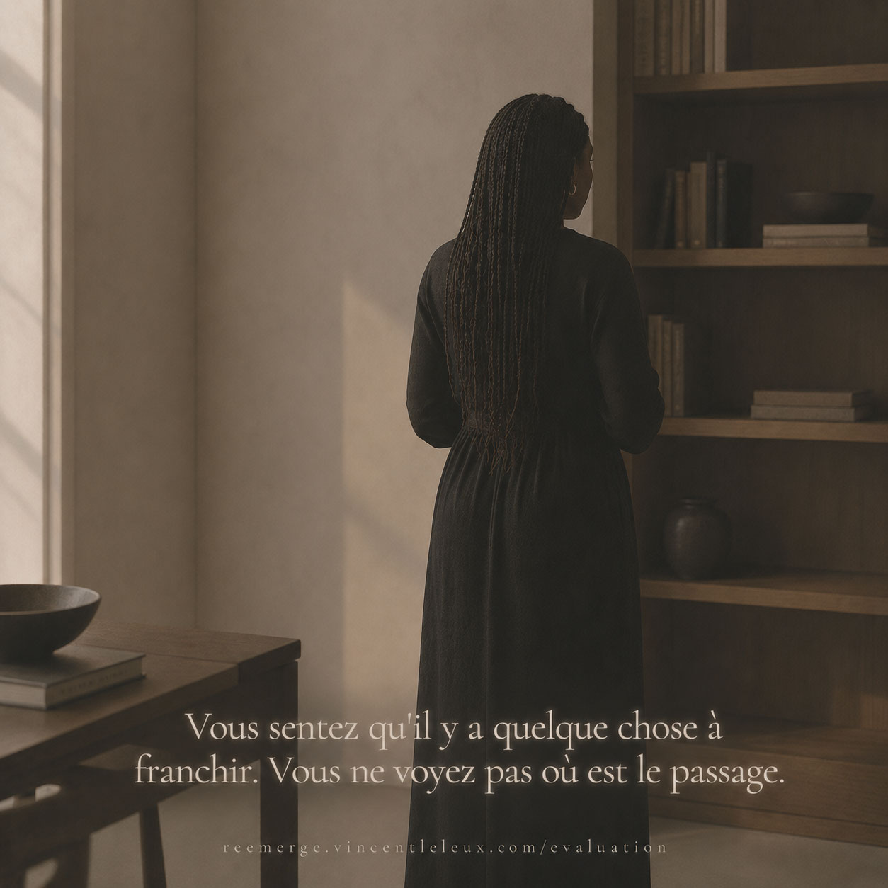 Femme noire aux tresses longues devant une bibliothèque, Re-Emerge