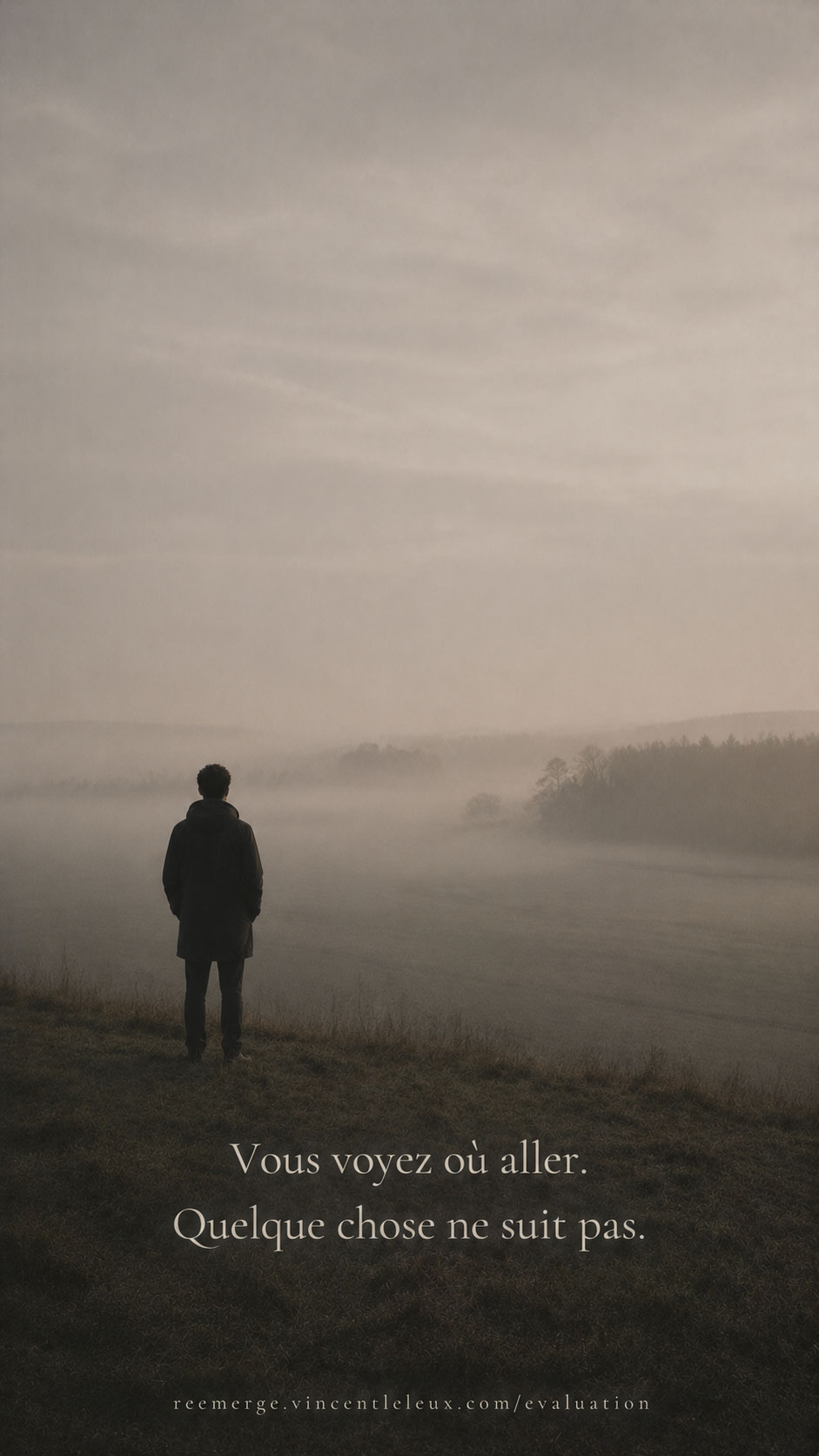 Homme seul dans un champ brumeux vu de loin, Re-Emerge